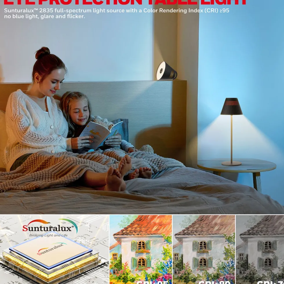 Honeywell Rechargeable Cordless Desk Lamps with a Portable Design, Color Changing and Touch Controls, Black 2-Pack HWT-M1B